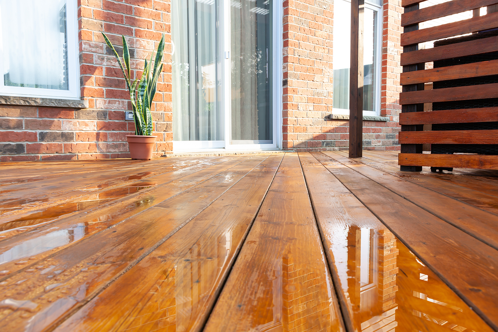 Backyard wooden deck floor