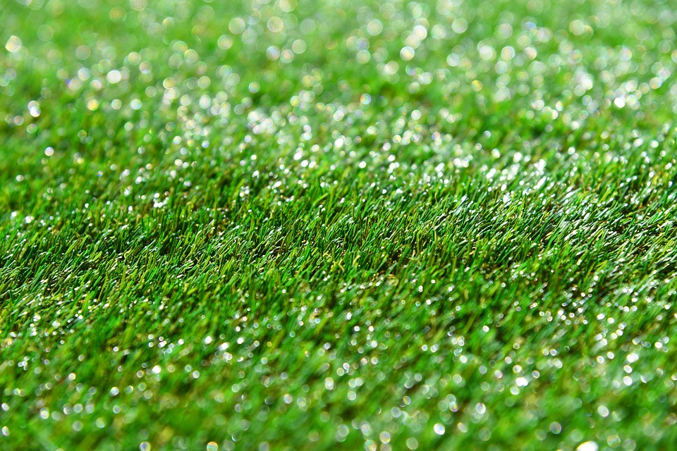 fake grass in Sydney